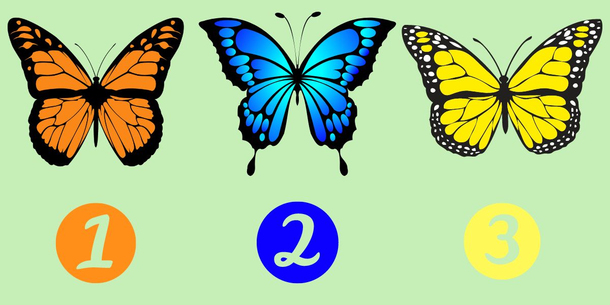 Personality Test: Unlock your imagination with your choice of butterfly!