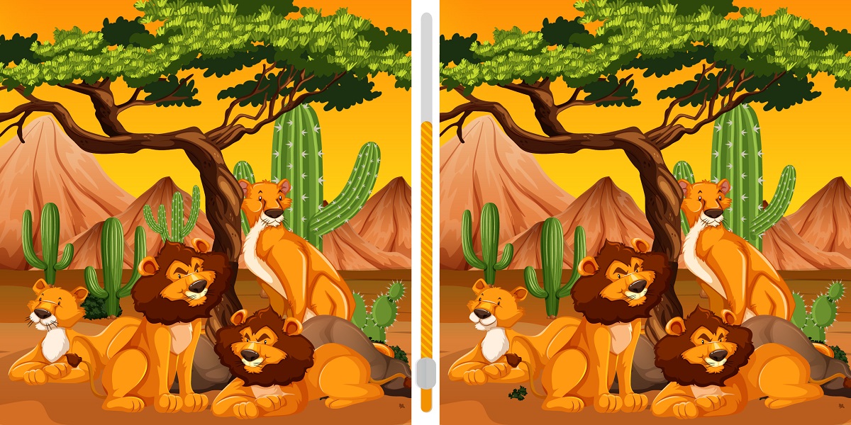 Do you have what it takes to spot the differences in this lion family in less than 30 seconds?