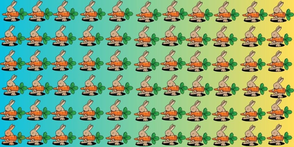 Can You Beat the 4% Challenge? Find the Odd Rabbit in 8s!