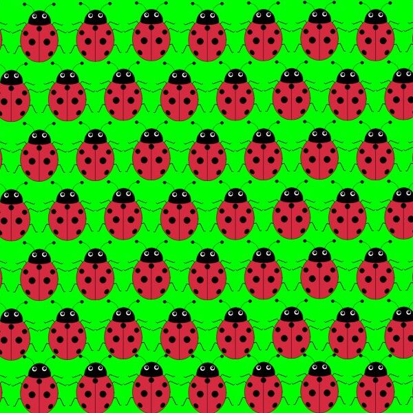 Test your iq: can you spot the odd one out in less than 7 seconds? Challenge yourself to find the unique ladybug!