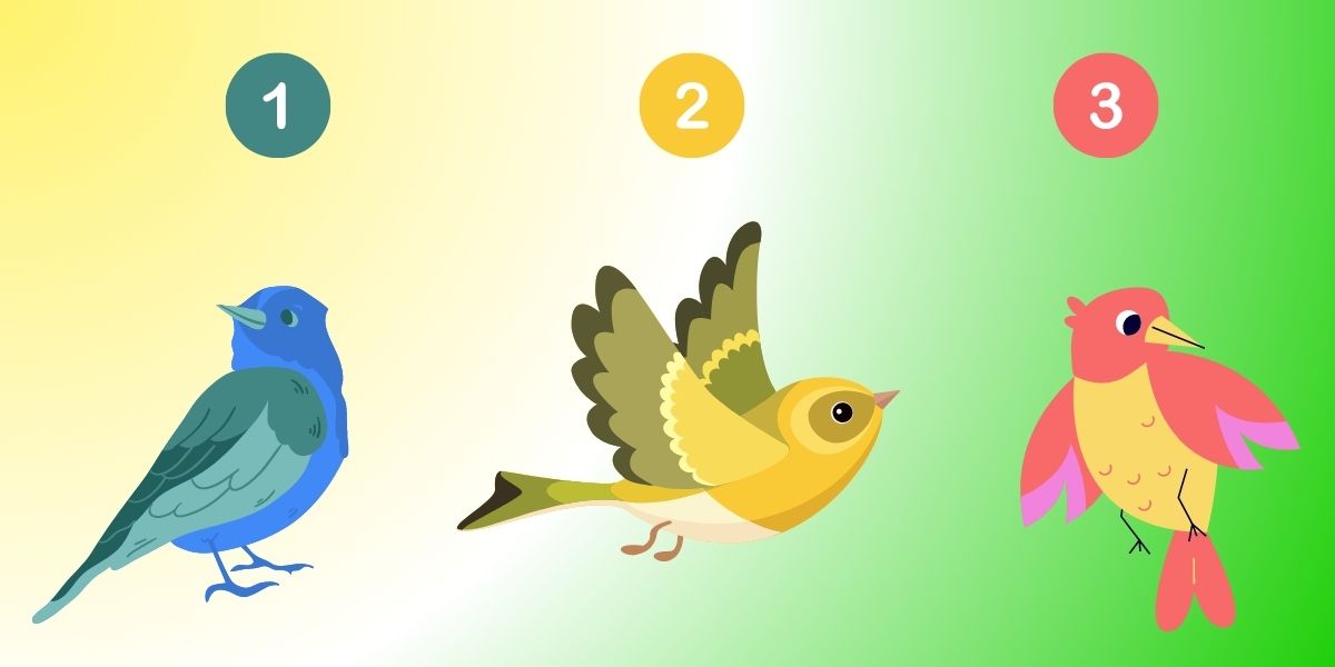 Personality test: Pick a bird and reveal how assertive you are?