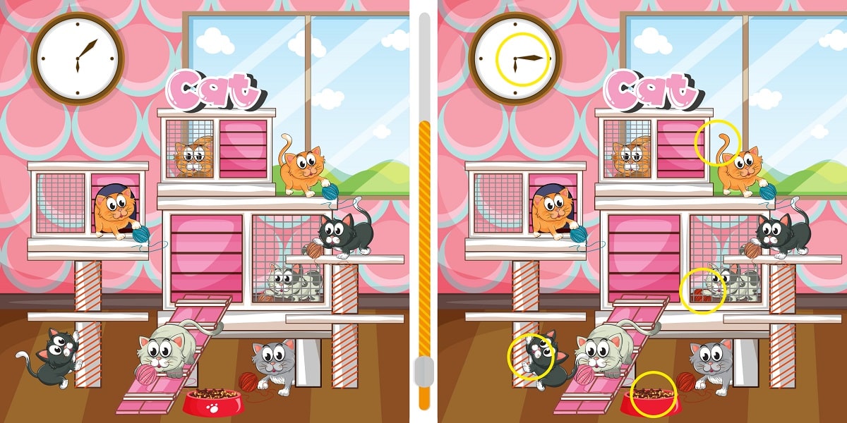 Brain teaser: Can you spot the differences in these 2 cat mages in less than 20 seconds?