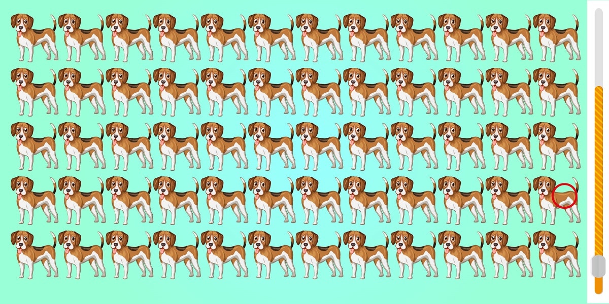 Can you spot the odd one out in less than 12 seconds? Challenge your visual acuity with this dog-filled brain teaser!