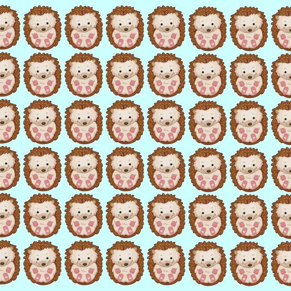 2% of people can spot the odd one out in 10 seconds: can you find the hedgehogs that don't belong?
