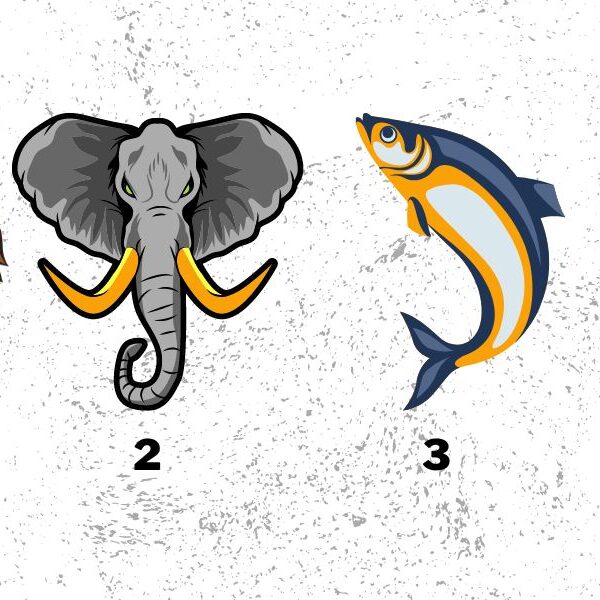 Personality test: discover your unique companion style by choosing an animal!