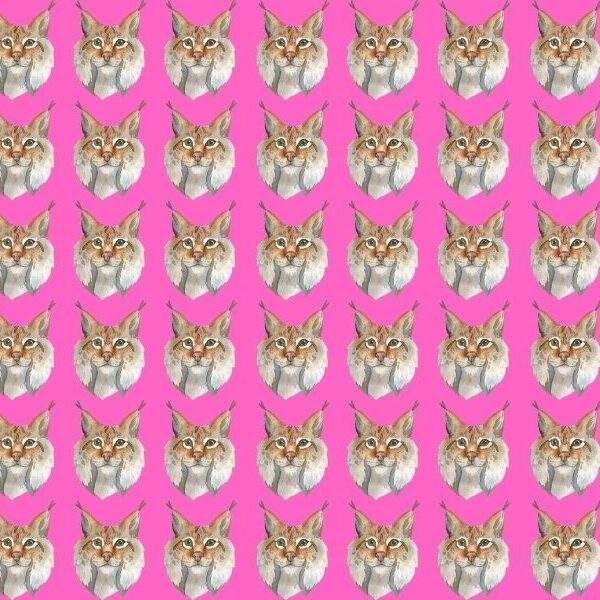 Can you spot the odd one out in 8 seconds? Challenge yourself to beat the 3% – find the lynx that doesn’t belong!
