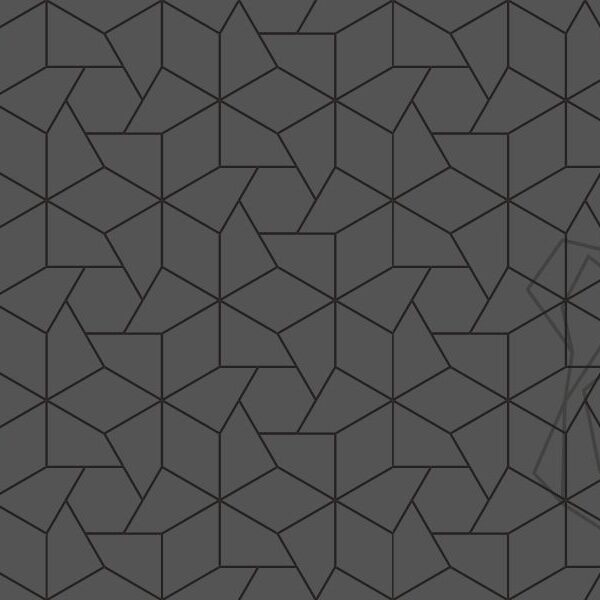 Which creature do you spot in this geometric pattern challenge: can you join the brain boxes and find it in less than 3 seconds?