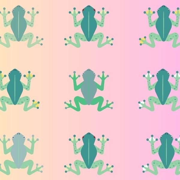 Can you spot the lonesome tree frog? Only 6% of people can beat this 8 second brain teaser twinless challenge!