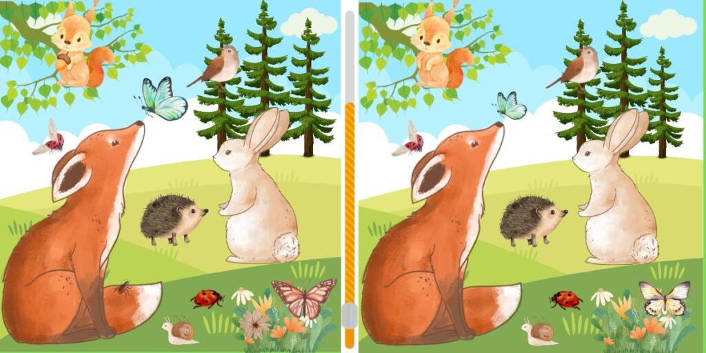 Can You Spot 7 Unique Woodland Friends Differences in 15s?