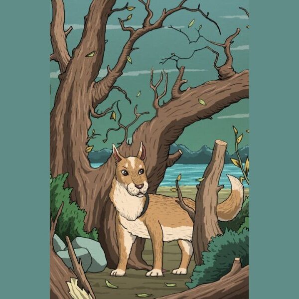 The ultimate brain-bending animal optical illusion challenge: can you uncover the hidden creature in a mind-melting 4 seconds or less?