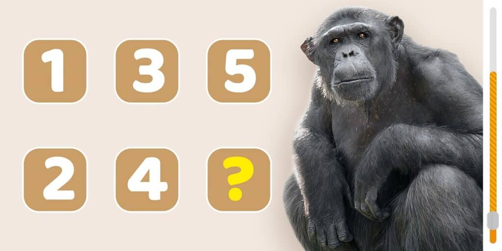 Number Sequence Riddle Test Your Wits with This Number Sequence Brain Teaser